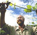 Barossa Experience Tours - Find Attractions