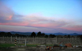 Buller View Wines - Find Attractions 1