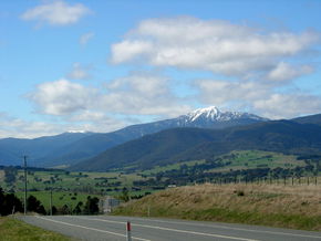 Buller View Wines - Find Attractions 2