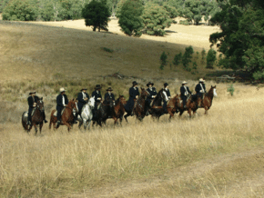 McCormacks Mountain Valley Trail Rides - Find Attractions