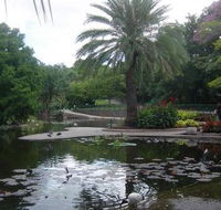 Brisbane City Botanic Gardens - Find Attractions