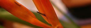 Zen Day Spa - Find Attractions 0