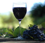 Lion Mill Vineyards - Find Attractions