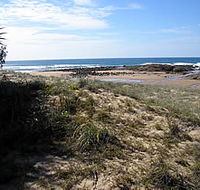 Deepwater National Park - Find Attractions