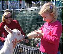 The Sun Herald Sydney Family Show - Find Attractions 2