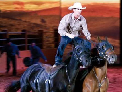 Australian Outback Spectacular - Find Attractions 1