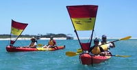 Kayak Noosa