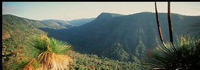 Lamington National Park And OReillys - Find Attractions 1