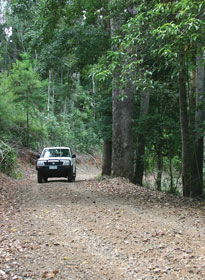 Lamington National Park And OReillys - Find Attractions 2