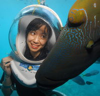Sunlover Reef Cruises - Find Attractions