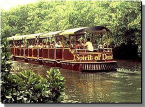 Cape Tribulation QLD Find Attractions