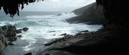 Banksia Adventures - Find Attractions 2