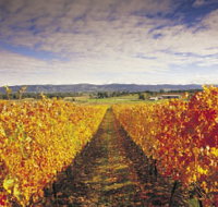 Link Tours - Find Attractions