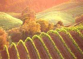 Meridian Tours - Find Attractions 2