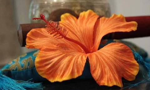 Annasha Day Spa Retreat - Find Attractions 5
