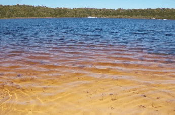 Beach Trekkers North Stradbroke Island - Find Attractions 1