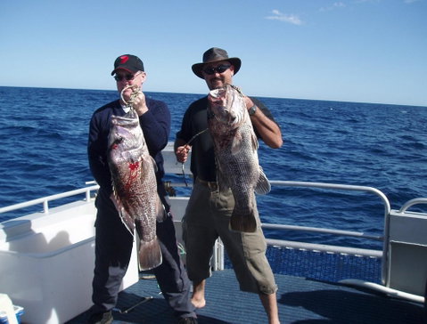 Blue Juice Charters - Find Attractions 2