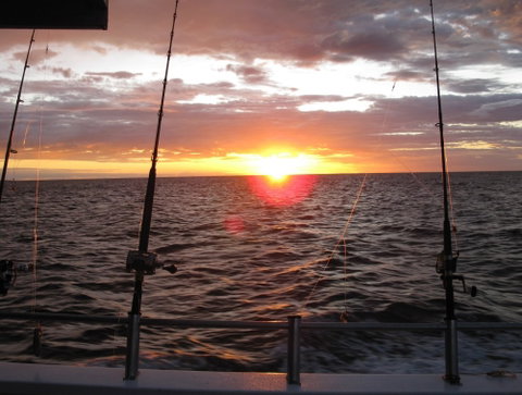 Blue Juice Charters - Find Attractions 5