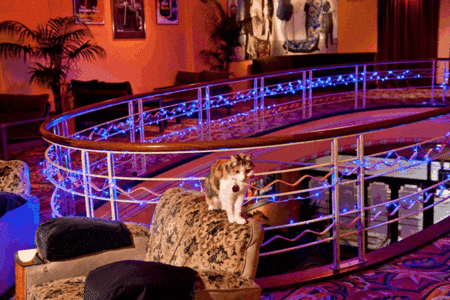 The Astor Theatre - Find Attractions 3