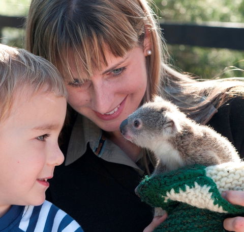Australian Reptile Park - Find Attractions 1