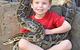 Australian Reptile Park - thumb 3