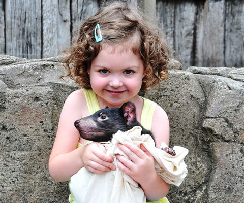 Australian Reptile Park - Find Attractions 8