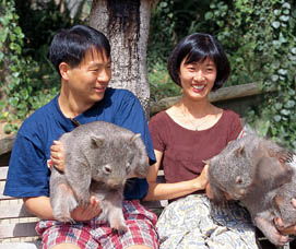 Birdland Animal Park - Find Attractions 5