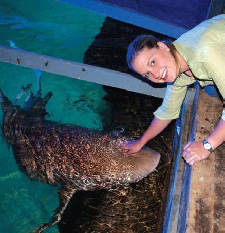 National Zoo & Aquarium - Find Attractions 7
