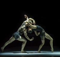 Sydney Dance Company - Find Attractions