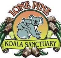 Lone Pine Koala Sanctuary - Find Attractions
