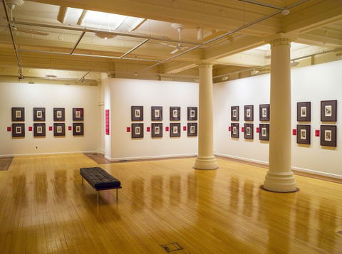 Cairns Regional Gallery - Find Attractions 2