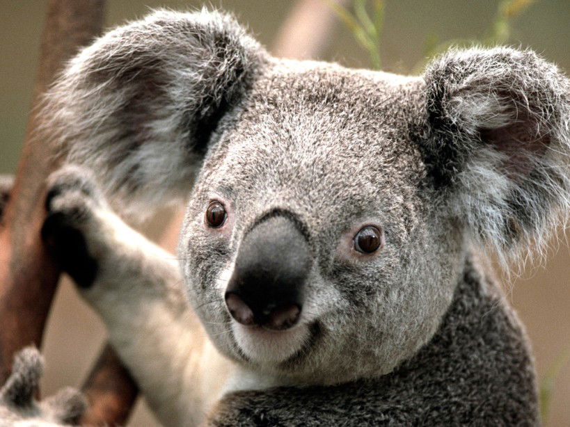 Merimbula NSW Find Attractions