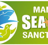 Manly SEA LIFE Sanctuary - Find Attractions