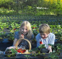 Blue Hills Berries  Cherries - Find Attractions