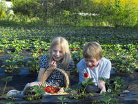 Book Beaconsfield Accommodation Vacations Find Attractions Find Attractions
