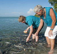 Aquascene Fish Feeding Sanctuary - Find Attractions