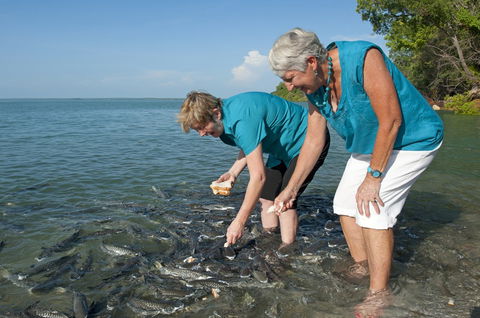 Aquascene Fish Feeding Sanctuary - Find Attractions 0
