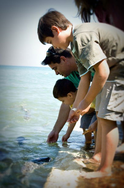 Aquascene Fish Feeding Sanctuary - Find Attractions 3
