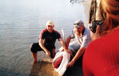 True Blue Fishing Charters - Find Attractions 1