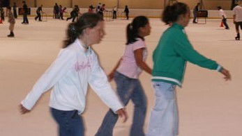 Hunter Ice Stadium - Find Attractions 4