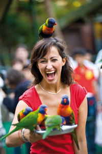 Currumbin Wildlife Sanctuary - Find Attractions 10