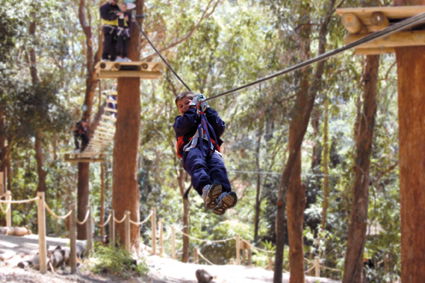 Currumbin Wildlife Sanctuary - Find Attractions 11
