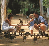 Billabong Sanctuary - Find Attractions