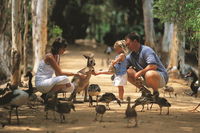 Book Townsville Accommodation Vacations Find Attractions Find Attractions
