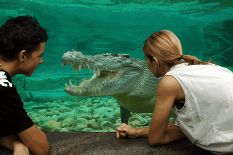 Cairns Wildlife Dome - Find Attractions 1