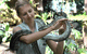 Cairns Wildlife Dome - thumb 2