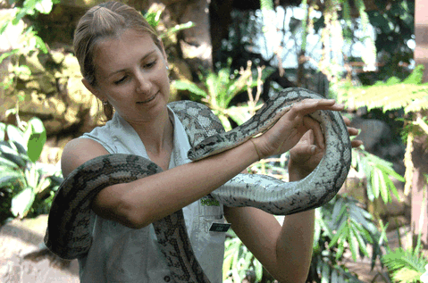 Cairns Wildlife Dome - Find Attractions 2