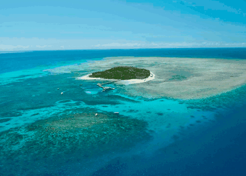 Big Cat Green Island Reef Cruises - Find Attractions 1