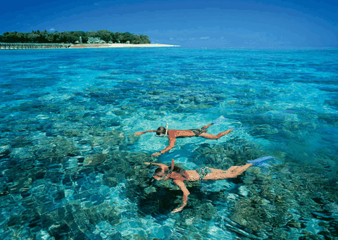 Big Cat Green Island Reef Cruises - Find Attractions 4