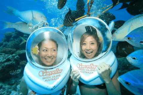 Big Cat Green Island Reef Cruises - Find Attractions 5